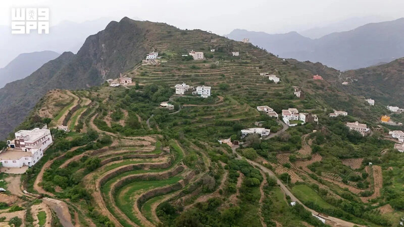 Asir’s Mountain Terraces Emerge as Saudi Arabia’s Coffee Hub